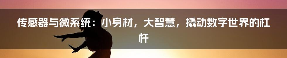 传感器与微系统：小身材，大智慧，撬动数字世界的杠杆