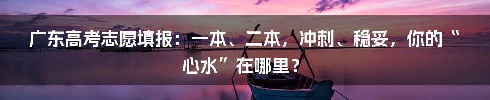 广东高考志愿填报:一本、二本,冲刺、稳妥,你的“心水”在哪里?