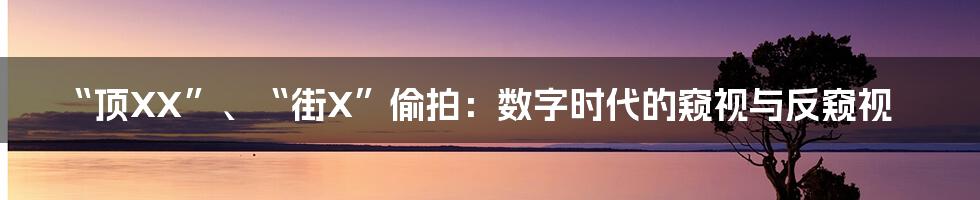 “顶XX”、“街X”偷拍:数字时代的窥视与反窥视