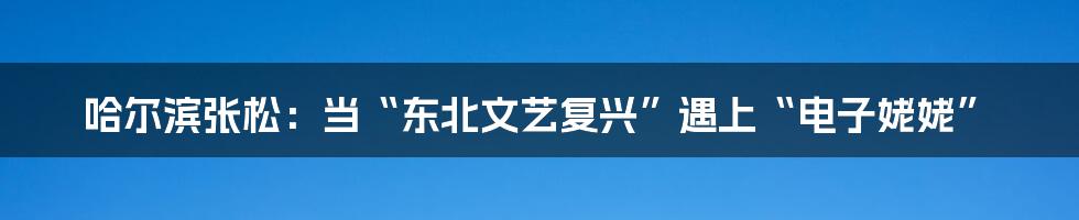 哈尔滨张松:当“东北文艺复兴”遇上“电子姥姥”