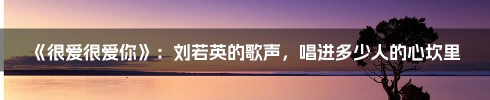 《很爱很爱你》:刘若英的歌声,唱进多少人的心坎里