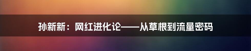 孙新新:网红进化论——从草根到流量密码