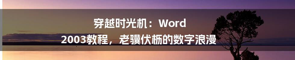 穿越时光机:Word 2003教程,老骥伏枥的数字浪漫