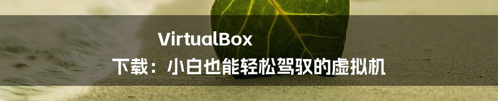 VirtualBox 下载:小白也能轻松驾驭的虚拟机