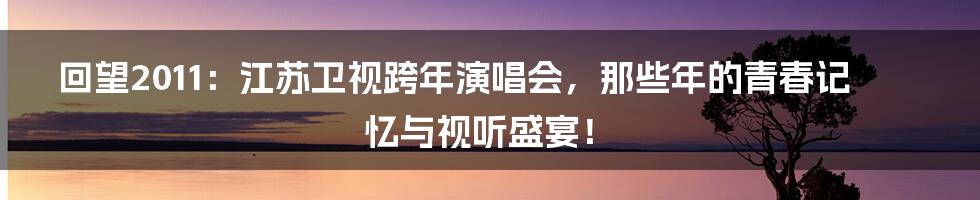 回望2011:江苏卫视跨年演唱会,那些年的青春记忆与视听盛宴!