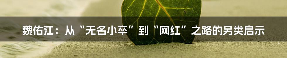 魏佑江:从“无名小卒”到“网红”之路的另类启示