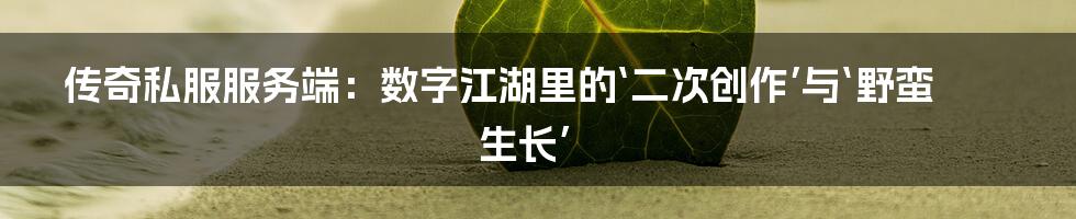 传奇私服服务端:数字江湖里的‘二次创作’与‘野蛮生长’