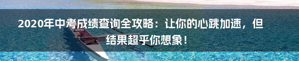 2020年中考成绩查询全攻略:让你的心跳加速,但结果超乎你想象!