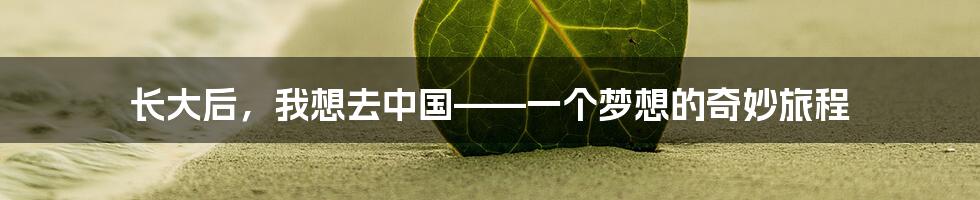 长大后,我想去中国——一个梦想的奇妙旅程