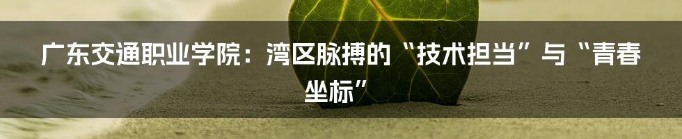 广东交通职业学院:湾区脉搏的“技术担当”与“青春坐标”