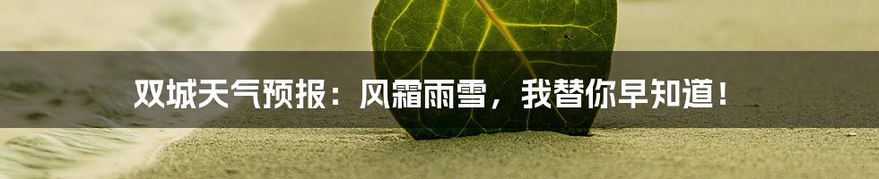 双城天气预报:风霜雨雪,我替你早知道!