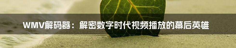 WMV解码器:解密数字时代视频播放的幕后英雄