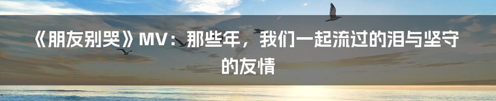 《朋友别哭》MV:那些年,我们一起流过的泪与坚守的友情