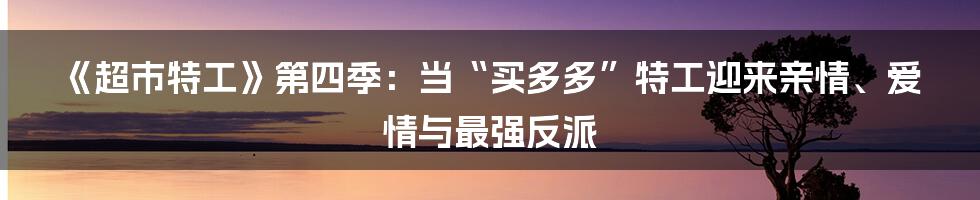 《超市特工》第四季:当“买多多”特工迎来亲情、爱情与最强反派