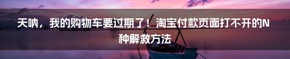天呐,我的购物车要过期了!淘宝付款页面打不开的N种解救方法