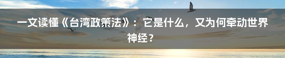 一文读懂《台湾政策法》:它是什么,又为何牵动世界神经?