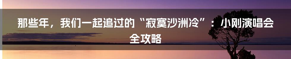 那些年,我们一起追过的“寂寞沙洲冷”:小刚演唱会全攻略