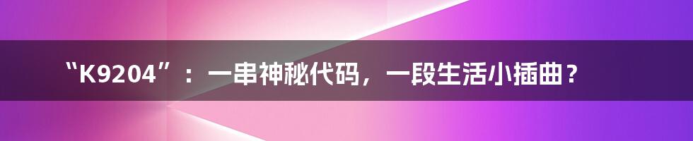 “K9204”:一串神秘代码,一段生活小插曲?