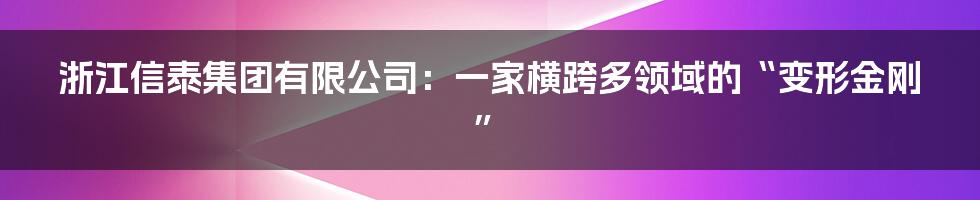 浙江信泰集团有限公司:一家横跨多领域的“变形金刚”