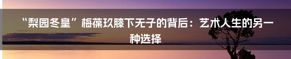 “梨园冬皇”梅葆玖膝下无子的背后:艺术人生的另一种选择