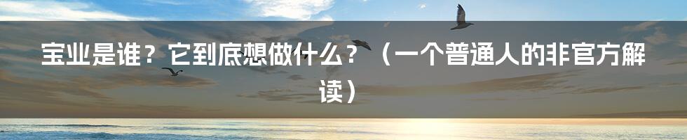 宝业是谁?它到底想做什么?(一个普通人的非官方解读)