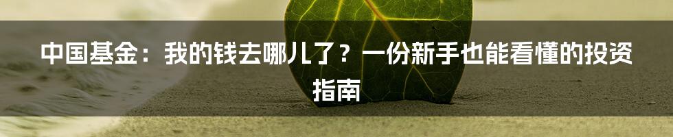 中国基金:我的钱去哪儿了?一份新手也能看懂的投资指南