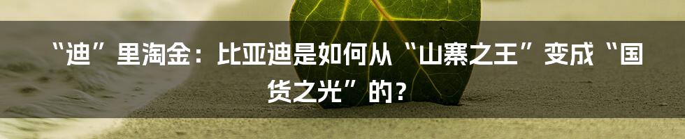 “迪”里淘金:比亚迪是如何从“山寨之王”变成“国货之光”的?