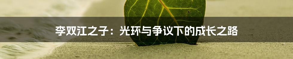李双江之子:光环与争议下的成长之路