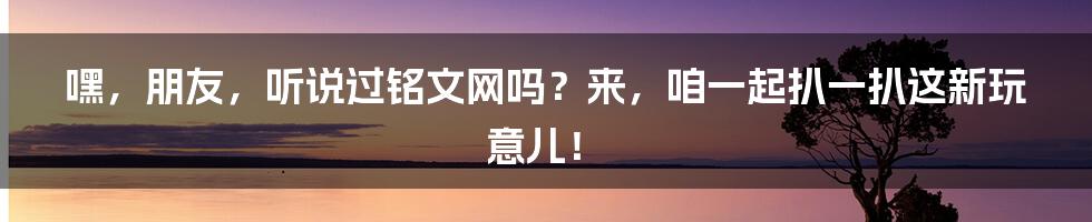嘿，朋友，听说过铭文网吗？来，咱一起扒一扒这新玩意儿！