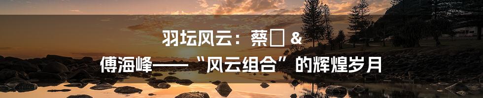 羽坛风云:蔡赟 & 傅海峰——“风云组合”的辉煌岁月