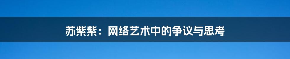 苏紫紫：网络艺术中的争议与思考