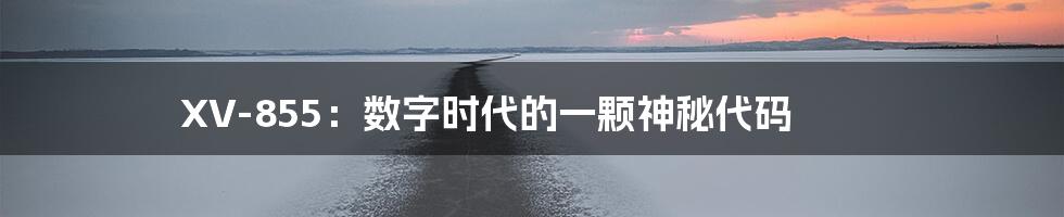 XV-855:数字时代的一颗神秘代码