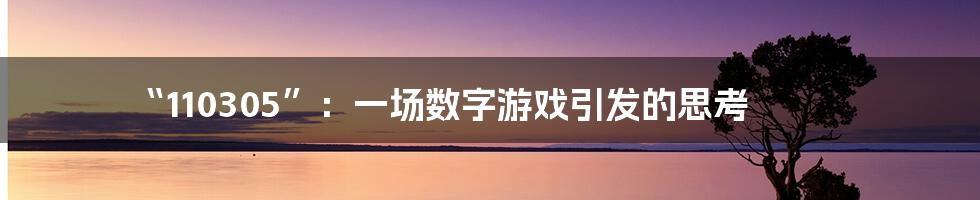 “110305”:一场数字游戏引发的思考