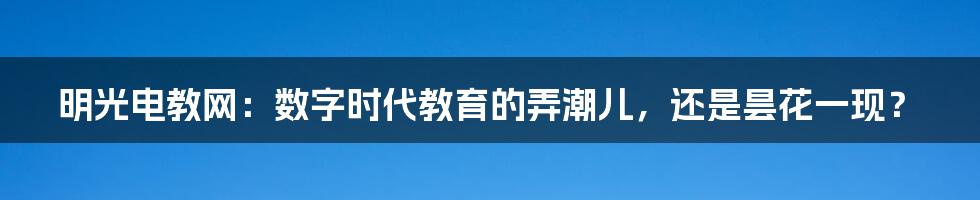 明光电教网:数字时代教育的弄潮儿,还是昙花一现?