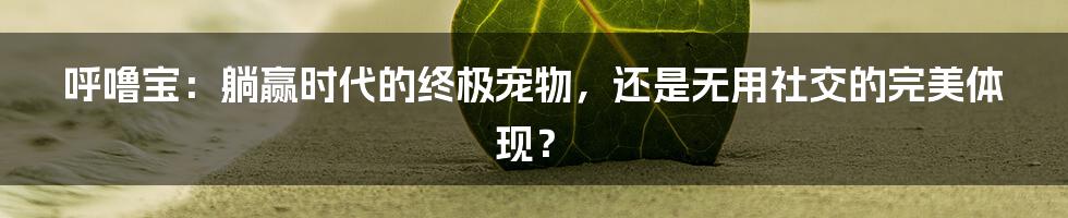 呼噜宝:躺赢时代的终极宠物,还是无用社交的完美体现?