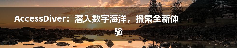 AccessDiver：潜入数字海洋，探索全新体验