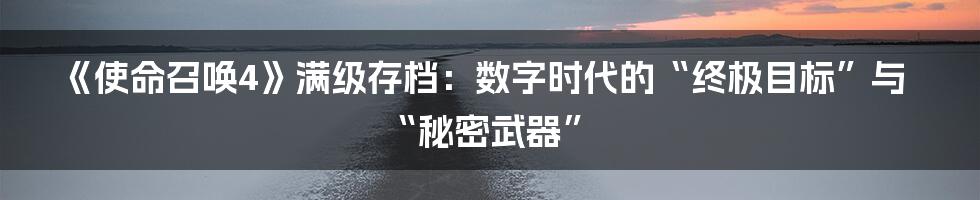 《使命召唤4》满级存档:数字时代的“终极目标”与“秘密武器”