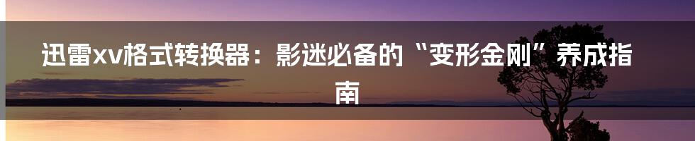 迅雷xv格式转换器:影迷必备的“变形金刚”养成指南