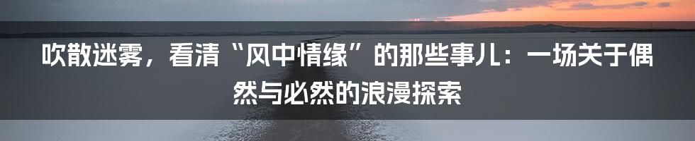 吹散迷雾,看清“风中情缘”的那些事儿:一场关于偶然与必然的浪漫探索