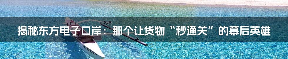 揭秘东方电子口岸:那个让货物“秒通关”的幕后英雄