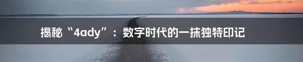 揭秘“4ady”:数字时代的一抹独特印记
