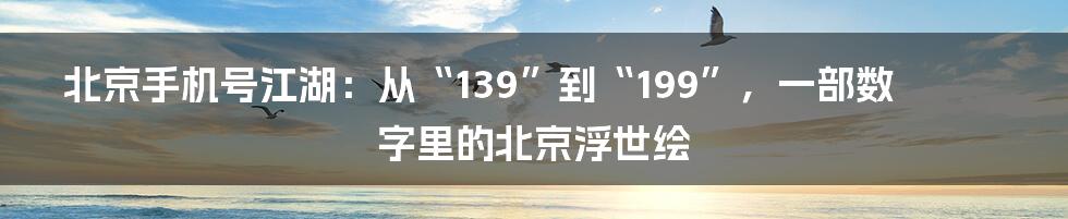 北京手机号江湖:从“139”到“199”,一部数字里的北京浮世绘