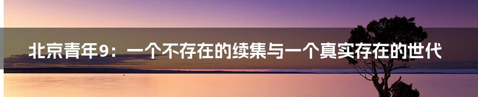 北京青年9:一个不存在的续集与一个真实存在的世代