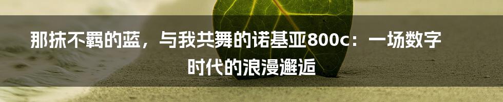 那抹不羁的蓝,与我共舞的诺基亚800c:一场数字时代的浪漫邂逅