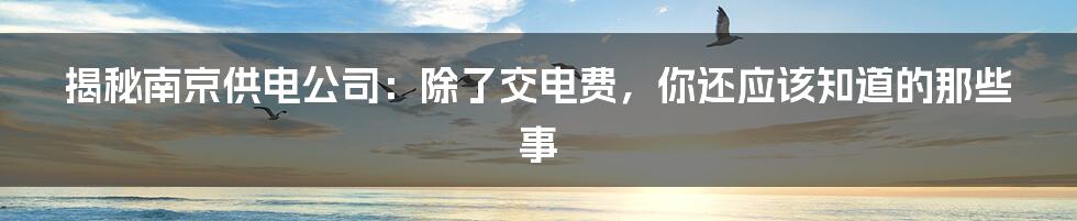 揭秘南京供电公司:除了交电费,你还应该知道的那些事