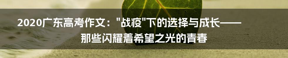 2020广东高考作文:"战疫"下的选择与成长——那些闪耀着希望之光的青春