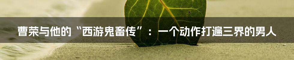 曹荣与他的“西游鬼畜传”:一个动作打遍三界的男人