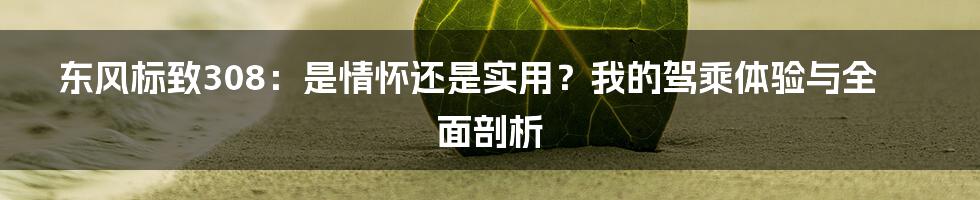 东风标致308：是情怀还是实用？我的驾乘体验与全面剖析