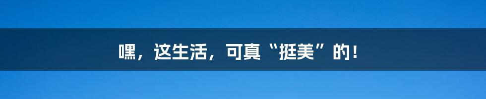 嘿,这生活,可真“挺美”的!