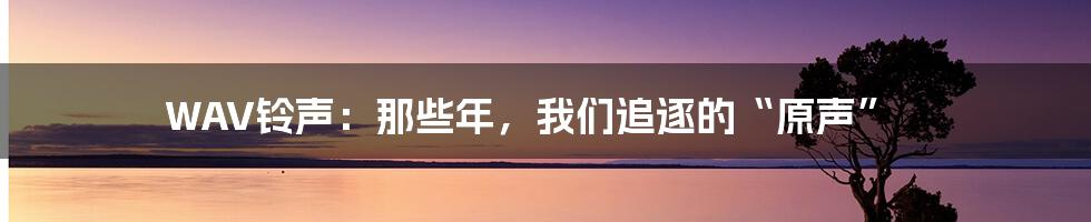 WAV铃声:那些年,我们追逐的“原声”